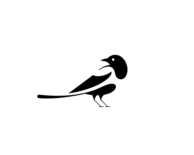 Magpie Bird