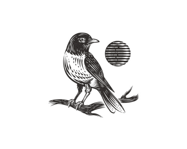 B.A Robinson CO. LTD